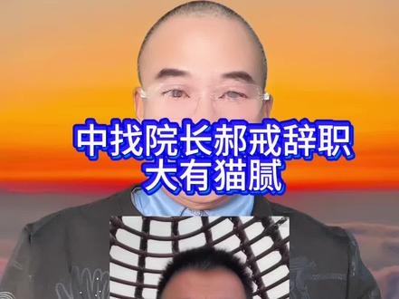 猫腻越来越多了