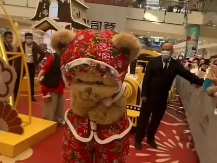 怎么能这么可爱
他叫什么熊
他是#暴暴熊
一只多才多艺的属于我们的暴暴熊