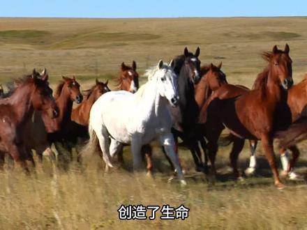 宇宙的生命历程可以分为五个纪元,它的最终结局是什么?#宇宙 #科普