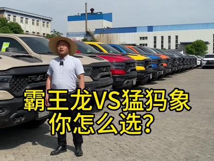 #天津港小宋 #平行进口车 #懂车帝 #天津港 #真车实价无套路 霸王龙猛犸象有什么区别