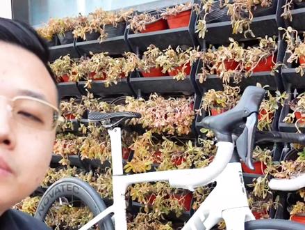 整车7.2kg!CAMP SR7 UT电子变速全碳纤维公路车,扮猪吃老虎#爱生活爱骑行 #自行车推荐 #骑行 #自行车 #户外运动
