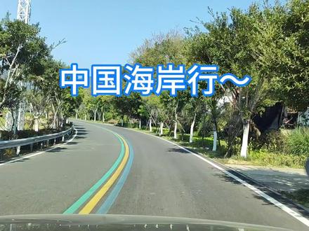 中国海岸行~误打误撞入霞浦,突然想起这就是那个令人向往的地方 #旅行vlog #最美滩涂霞浦 #北岐滩涂