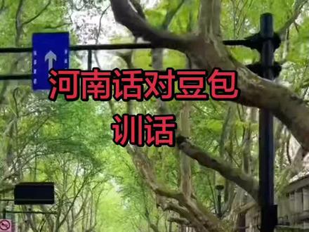 豆包对话开始