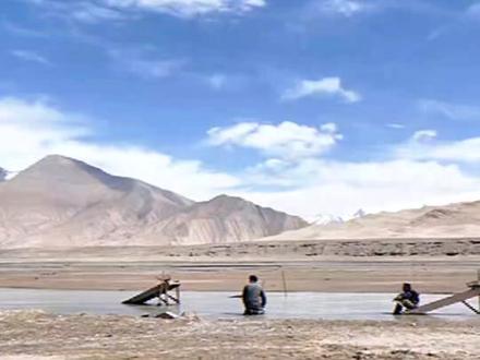 #杨紫 白菊@杨紫 进山初体验记录《白菊日记3》,另附安全提示一则☝️#杨紫白菊 #白菊 #杨紫生命树 #生命树