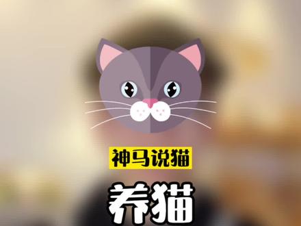 养猫省钱攻略,帮助你少花冤枉钱#养宠进阶指南 #科学养猫
