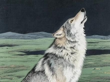 狼王格林最终大结局,狼王格林还活着吗?
#格林 #狼王格林 #保护动物 #民间故事正能量 #救下狼崽