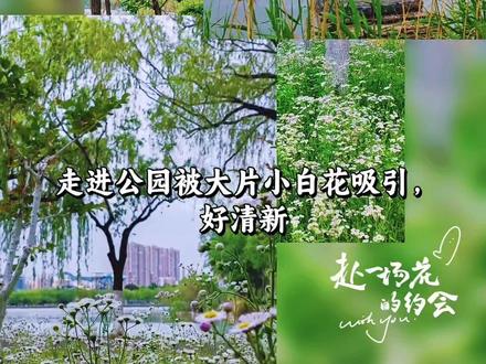 济南园博园20260502