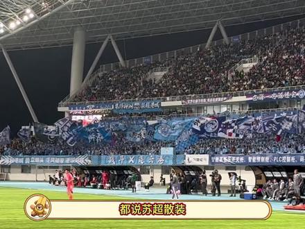 沈阳和大连没球也能踢九十分钟 #东北超 #沈阳 #大连 #抽象