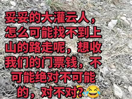 我们作为妥妥的大灌云人,不用花钱,直接上山😂😂