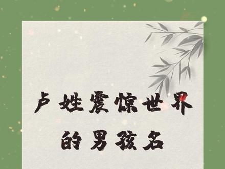 卢姓震惊世界的男孩名#起名 #卢本伟