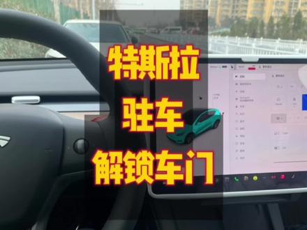 特斯拉新车主,提车后需要知道的驻车时解锁车门三种方法#特斯拉modely #特斯拉 #特斯拉model3 @DOU+小助手