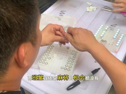 中国最后一只班鳖 #班鳖