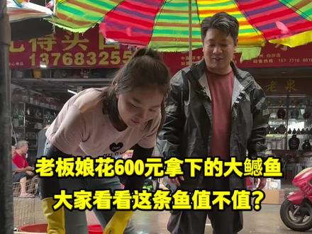 老板娘花600元拿下的大鰔鱼,老板娘看看这条鱼值不值 #菜市场 #杀鱼技术 #厨房菜刀