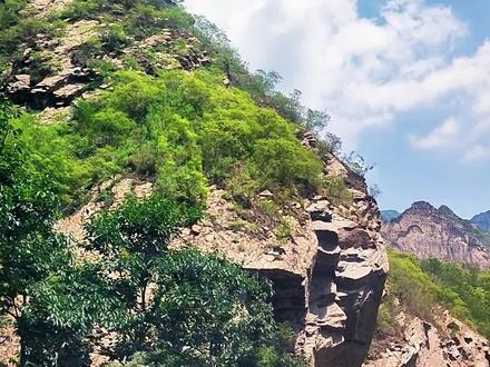 东峪路上 南庄(定襄当地老百姓又叫东峪儿),在山西的定襄、五台、盂县三县交界处,古老的滹沱河将太行山支脉冲刷成一条长达数十公里的峡谷,整个峡谷统称东峪,峡谷长数十公里,谷底奔腾着定襄的母亲河——滹沱河,沿河盘旋着通往盂县的芙蓉国防公路,公路与河流两边,青山对峙,怪石嶙峋,定襄县的南庄村就处在峡谷的中心地带,这里海拔仅600米,是忻州地区海拔最低点。这里气候温和湿润,再加上千姿百态的山石,四季潺潺的流水,纵横交错的沟谷,四山环绕,气候温和,土壤肥沃,没有裸地,不种庄稼的地方就是自然葱郁的乔木灌木。定襄南庄这个地方对于不是生活在当地的人来讲,早超出了一个镇乡的概念,而是一个区域,一阵清风自来,一个满是花草清香的地方。
沿山进去,滹沱河流时缓时急,婉延流淌。虽然水不是很清澈,但它的经过,也给两岸峻峭嶙峋,形状各异的山峰凭添了几分灵动之气,岸边的树木和花草,也因其的滋润,显的格外郁郁葱葱,花枝招展。沿河岸两侧是一处处绿荫环抱的村庄,小溪潺潺、飞鸟啼鸣,林草丰茂,群峰竟秀。所属村庄村貌很具农家特色,石板路,夯土墙。村中一层层的石砌民居,一条条的石板小巷,仿佛让人品味着山乡的质朴与纯真,河水从村旁常年流过,永不停息,养育着这里的人们,造就了这里的人们善良包容和勤劳自足的品格。