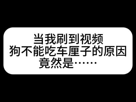 教大家如何喂小狗吃车厘子🍒
不过,真的有人会小狗吃车厘子核、茎、叶吗?
温馨提示,车厘子虽好吃,但要注意量哦‼️人和狗都要注意‼️
#养狗经验分享 #养宠知识分享 #麻薯和元宵 #真实生活分享计划 #看看你们的萌宠