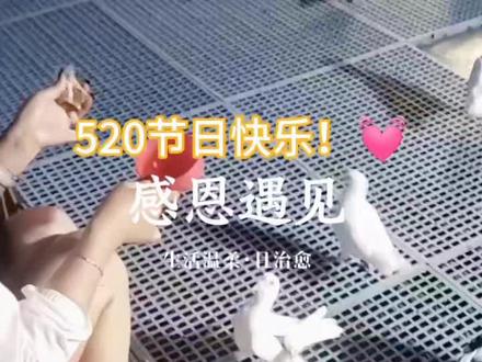 我的故事里,每一页都写满了你的名字。五二零,不只是今天爱你,而是比昨天更多,比明天更久!🌹