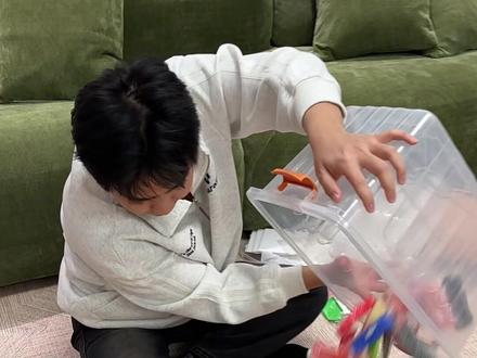 男朋友用拼豆给我做了很多立体蝴蝶 #拼豆 #情侣 #手工diy #情侣日常