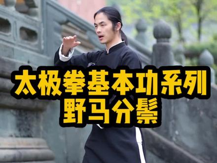 太极拳基本功经典动作之一,“#野马分鬃 ”你学会了吗?#武当山 #dou出真功夫 #武当微明 #武当武术 @微明云课堂 @武当煮语