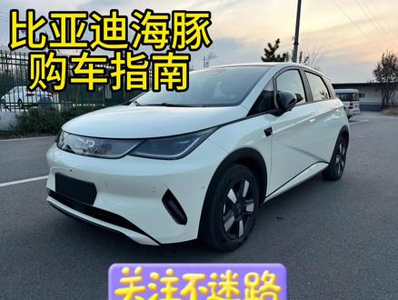 比亚迪海豚买车指南?优缺点是?#比亚迪海豚