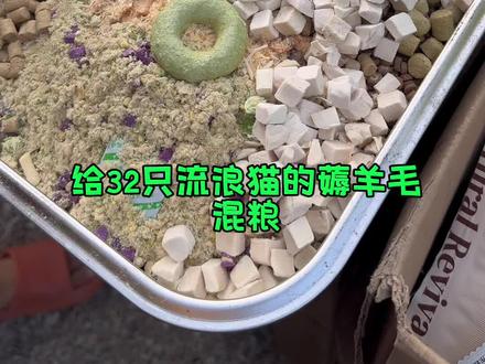 给32只流浪猫的混粮#诚实一口P40PLUS #诚实一口鲜肉猫粮#猫粮 #猫粮试吃装 #试吃装 @抖音小助手 @抖音创作小助手