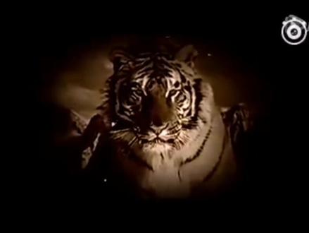 《玛纳斯》精彩片段!👏👏✌❤️