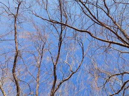 如果生活平静的像一潭死水
作家没什么可写也就失业了
最具盛名的清代作家曹雪芹
养活了好多人因为吐槽红楼梦
红楼梦是一场先盛后衰的悲剧
充满了大起大落跌宕起伏
在平静的日子里天气有点冷
大批人做了缩头乌龟不出门
锻炼身体与天气没多大关系
多活动活动身体就热了就不冷了
小人物不想逆水行舟突破平庸
灯光下该出现的人还是出现了
大家听着音乐蹦蹦跳跳抵御寒冷
红衣队十一个加上游击队二十二个
麻雀虽小五脏俱全音响领队都有
去年年底最后一次健步七八个人
自己屁颠屁颠跟在音响师后面
听着马健涛的歌儿你本来就很美
我亲爱的谁谁谁没有你的日子里
花儿都不盛开 歌词和意境契合
心情美丽感觉不到冬天的寒冷
辐射到今晚还是同样的心境
为了保持那种纯纯的爱的感觉
不越雷池 害怕一碰就碎了