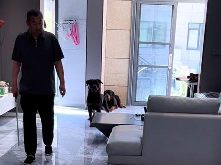 菜市场遇到3只小猫,看了半小时,实在没忍住,都抱回家了#萌宠日常记录 #养狗的乐趣