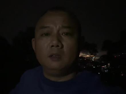 原矛头蝮咬伤,原矛头蝮#蛇类科普#原矛头蝮