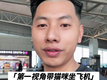 金加白米努特矮脚猫乘坐飞机到北京 第一视角带你看矮脚猫坐飞机的全过程#猫咪坐飞机 #猫咪旅行 #金加白米努特矮脚 #金加白拿破仑矮脚猫 #拿破仑矮脚猫