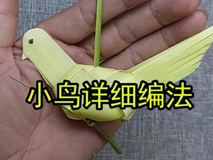 学会编这个小鸟,就能参加非遗进校园。 #非遗进校园 #手工 #亲子手工 #棕编教程