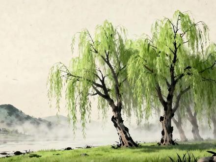 AI古诗文《咏柳》(含译文) #AI古诗文#诗词#国学启蒙#古诗文动画#让孩子爱上古诗词