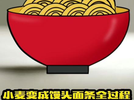 从小麦到变成馒头面条的全过程#复誉特殊教育 #复誉 #从小麦到馒头面条的全过程