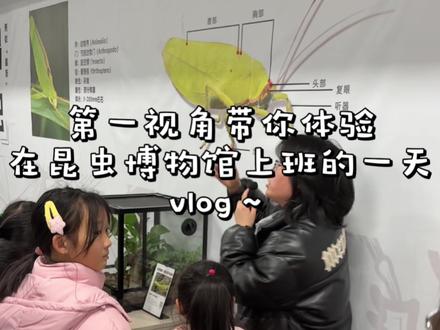 第一视角带你体验在昆虫博物馆上班的一天~#昆虫 #周末去哪儿 #大自然 #亲子互动