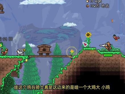 泰拉救赎模组1:鸡皇争霸!特洛伊鸡皇大军! #泰拉瑞亚
