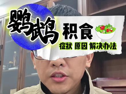 鹦鹉积食怎么分辨?怎么办