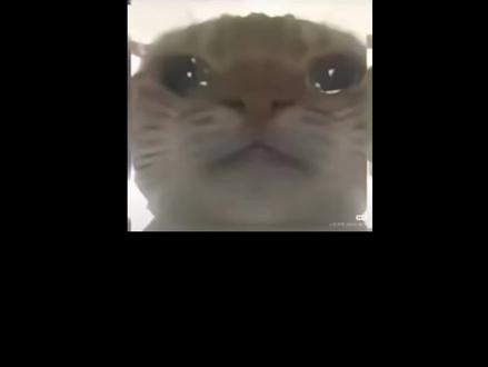 关于一个三角洲跑刀鼠鼠在校大学生被骗押金1000#三角洲 #三角洲行动 #跑刀仔