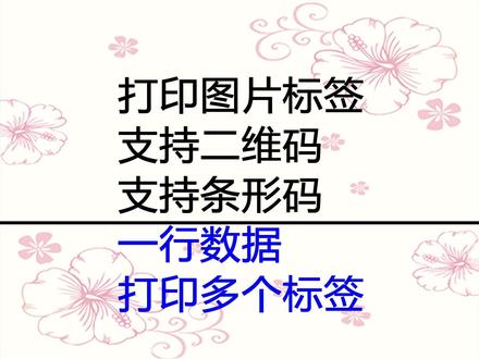 批量生成含图片含箱号的产品标签或者唛头,一行数据生成多个标签 #罗刚君 #E灵 #Excel插件