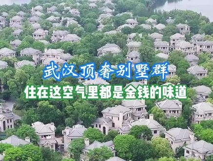 这是武汉别墅的天花板,据说不少网红明星都住在这里 #内容启发搜索 #武汉富人区 #长岛别墅