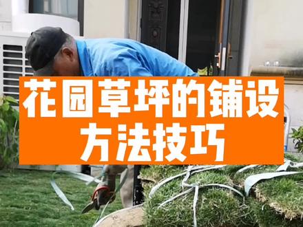 草坪的铺设方法技巧,花园草坪种植的方法要点技巧,怎么铺草坪,草坪怎么铺,草坪怎么种植。无锡做花园做花境找我哦#无锡花园 #无锡别墅 #无锡装修 #无锡庭院设计 #私家花园