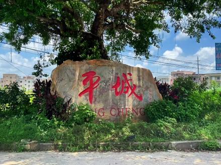 吴川村庄航拍:黄坡镇平城村,米稔陈氏,建村近700载,人口5000余人。#美丽乡村 #航拍 #我为家乡代言 #抖出你的家乡