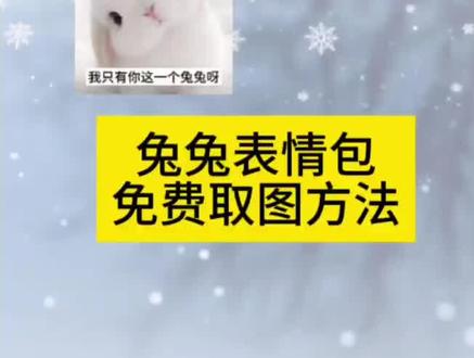 你背着我有别的兔兔啦?yasaisa小兔子表情包 himari兔子表情包 我只有你一个兔兔#兔兔表情包 #兔兔表情包小程序入口 #微信表情包 #兔兔 #聊天记录 兔兔表情包 取图 抖音表情包批量删除 usagichan兔子表情包 木木之兔表情包 兔兔取图小程序 兔兔表情包小程序 表情包取图 兔兔取图 兔兔表情包可爱图片