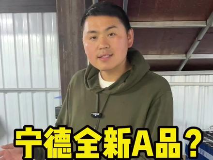宁德时代126安时是全新A品? 答案让你目瞪口呆#宁德时代电芯 #全新a品电芯 #全新B品电芯