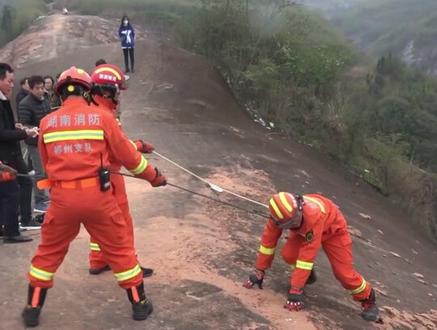 #小狗失足滑落山崖消防紧急救援后续,滑落山崖的小狗被热心游客领养,在新家庭过得很好!每一条生命都应该得到尊重!