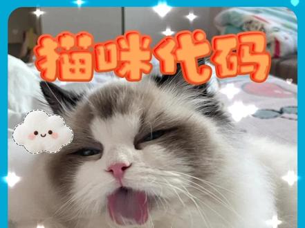 猫咪的底层代码,小猫真是单细胞生物。 #猫咪的迷惑行为 #猫咪的日常 #猫咪 #养猫人的快乐 #养猫经验分享