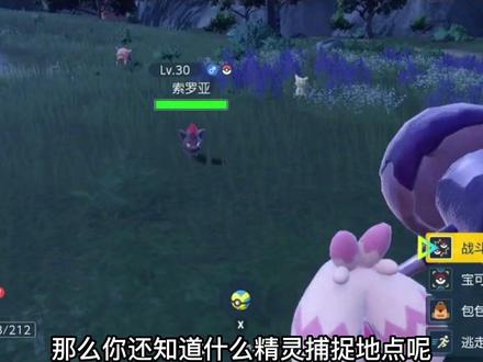 #精灵宝可梦 朱紫索罗亚详细捕捉攻略来啦!#宝可梦朱紫 #主机游戏 #索罗亚