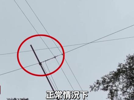 游客在四川体验“大摆荡”坠亡 央视独家还原事发经过