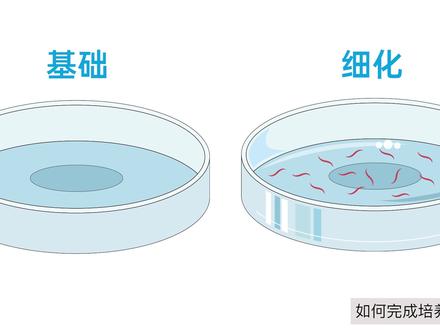 告别手残,利用AI轻松绘制培养皿~
#ai #设计教程 #科研绘图 #sci论文 #实验 #培养皿