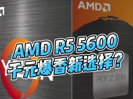 如果再给我一次选择CPU的机会,我会对AMD R5 5600说。。#电脑 #组装机 #AMD锐龙5600
