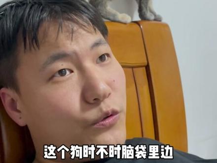 #我和我的狗 #萌宠 家里小狗脑袋每天都在想什么