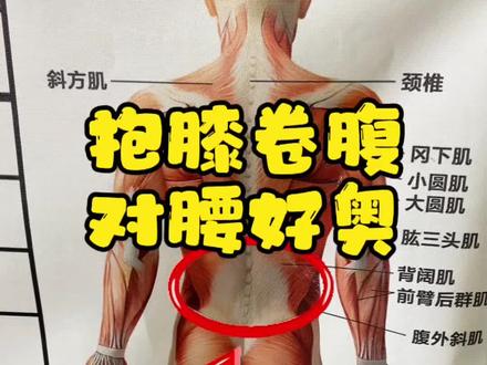 久坐少运动腰不得劲了?练练这个抱膝卷腹的动作。#腰肌劳损 #久坐#居家锻炼#腰#核心腰腹